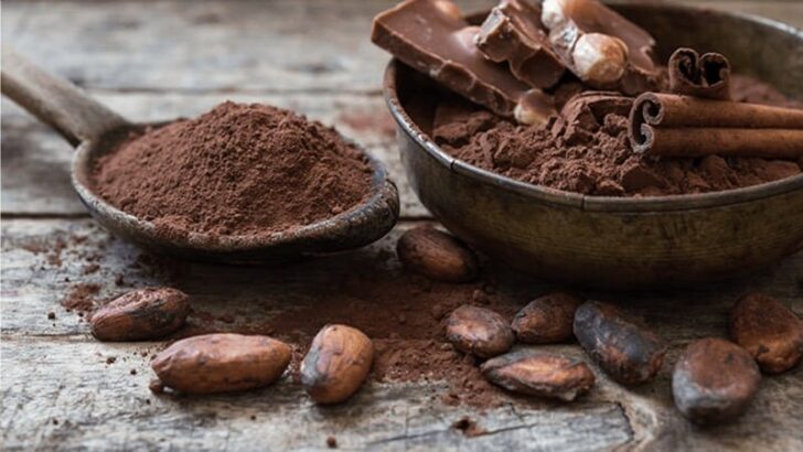 20 Cacao Powder Superfood Recipes You Will Love