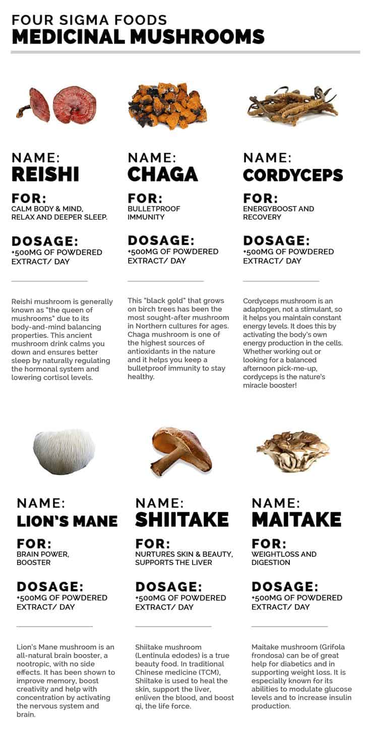 Handy Guide to the Healing Power of Medicinal Mushrooms