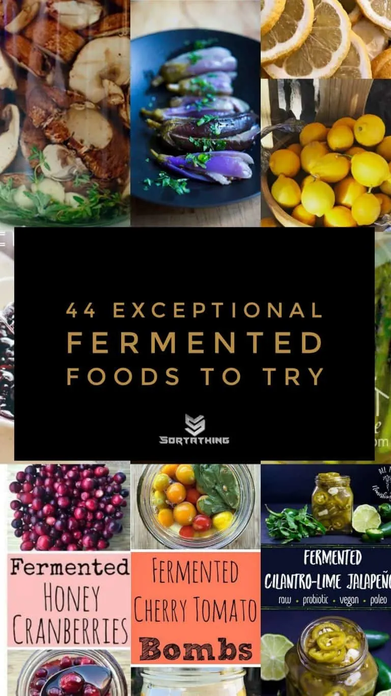 Fermented Foods Footer Image