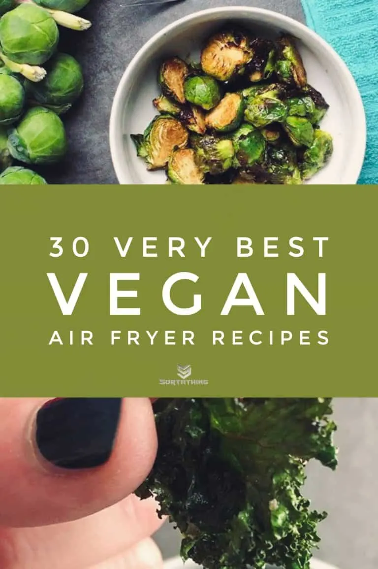 30 Very Best Vegan Air Fryer Recipes for 2022 13 - Sortathing Food & Health