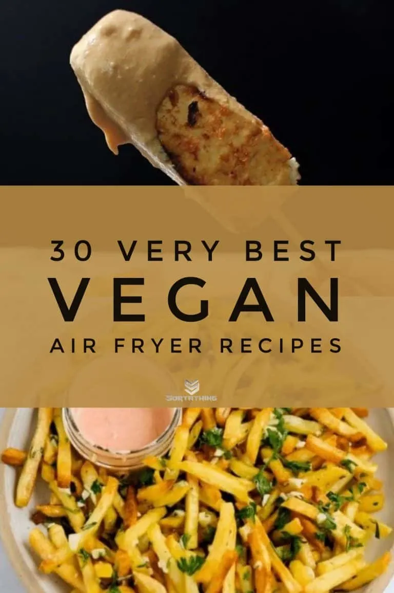 30 Very Best Vegan Air Fryer Recipes for 2022 12 - Sortathing Food & Health