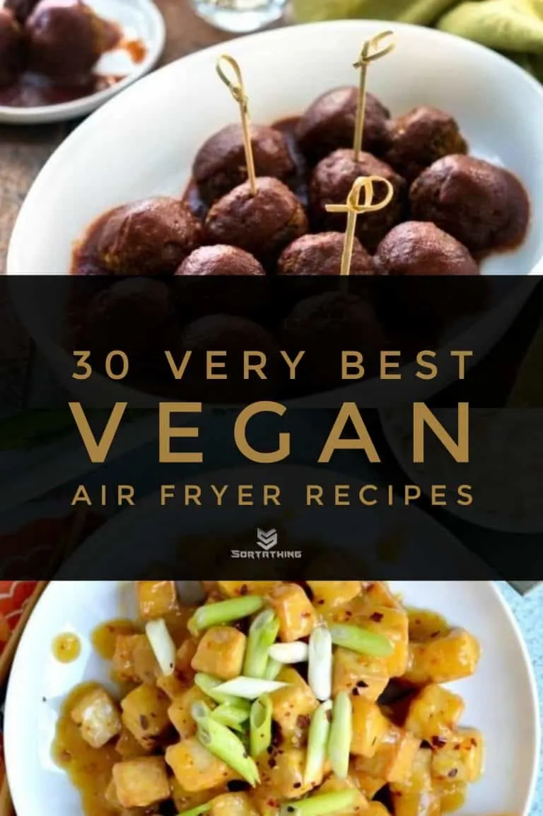 30 Very Best Vegan Air Fryer Recipes for 2022 10 - Sortathing Food & Health