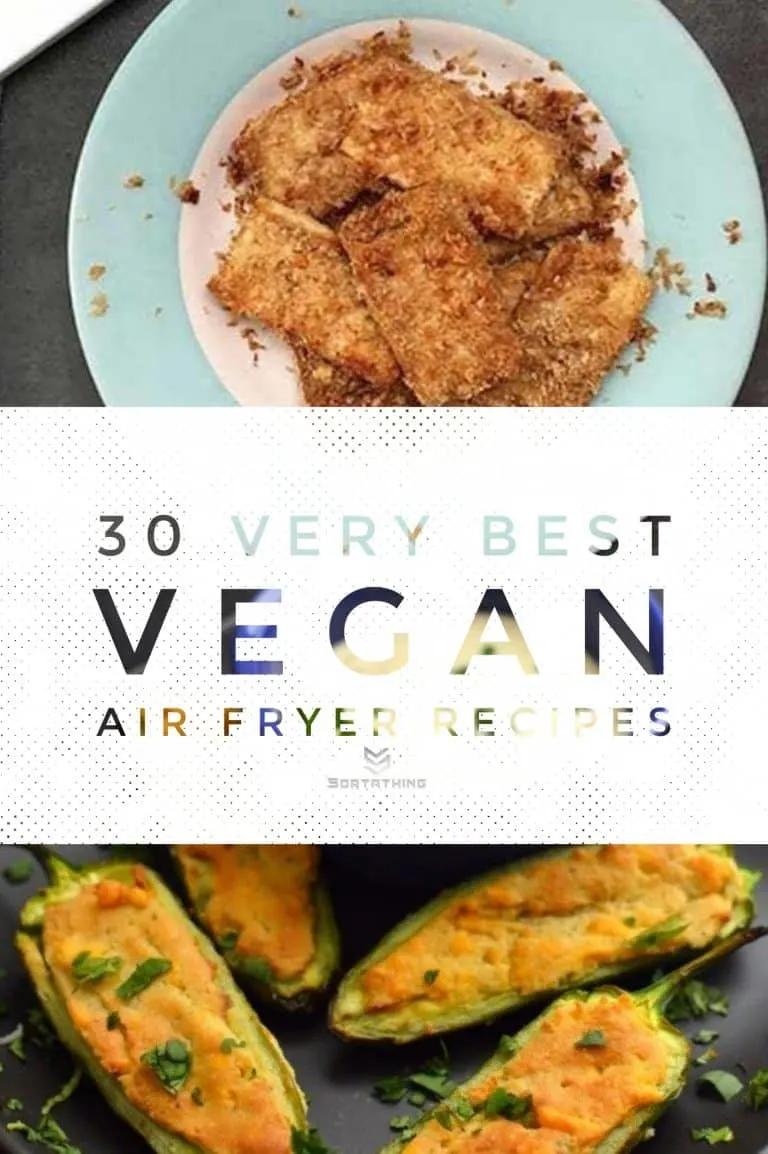 30 Very Best Vegan Air Fryer Recipes for 2022 8 - Sortathing Food & Health
