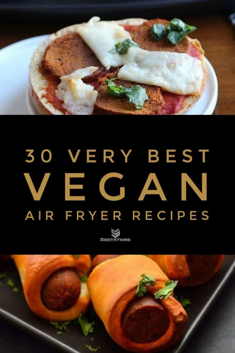 30 Very Best Vegan Air Fryer Recipes for 2022 7 - Sortathing Food & Health