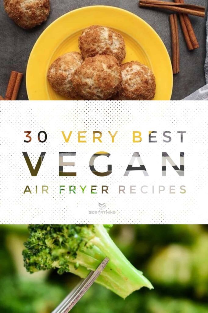 30 Very Best Vegan Air Fryer Recipes For 2022 - Sortathing