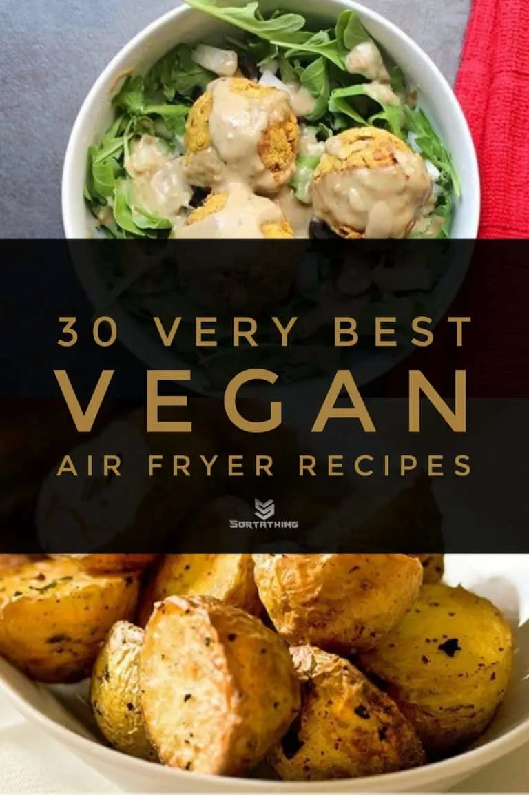 30 Very Best Vegan Air Fryer Recipes for 2022 1 - Sortathing Food & Health