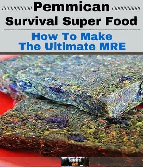 Pemmican Survival Super Food