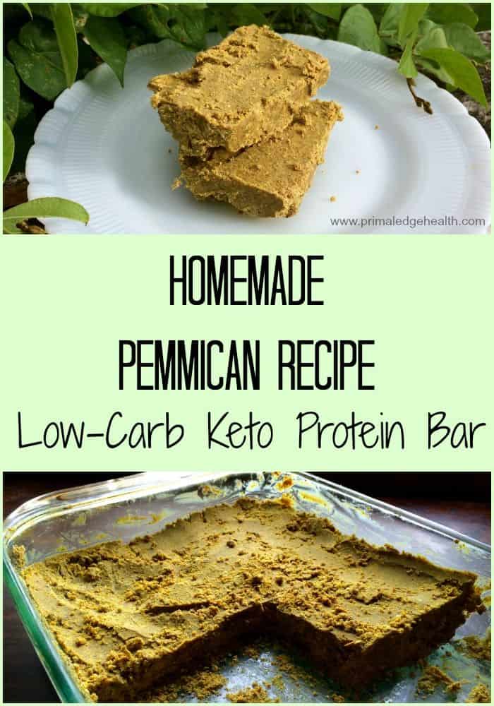 Pemmican recipe low carb keto bar