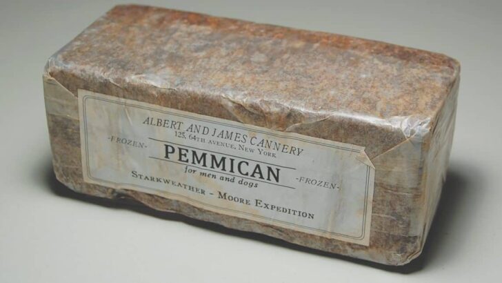 12 Pemmican Recipes – Legendary Keto Survival Food