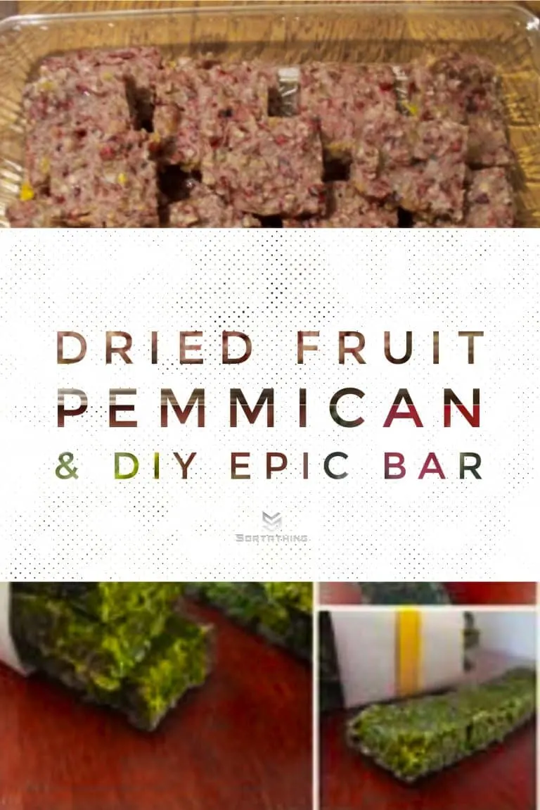 Dried fruit pemmican and DIY AIP Epic Bar