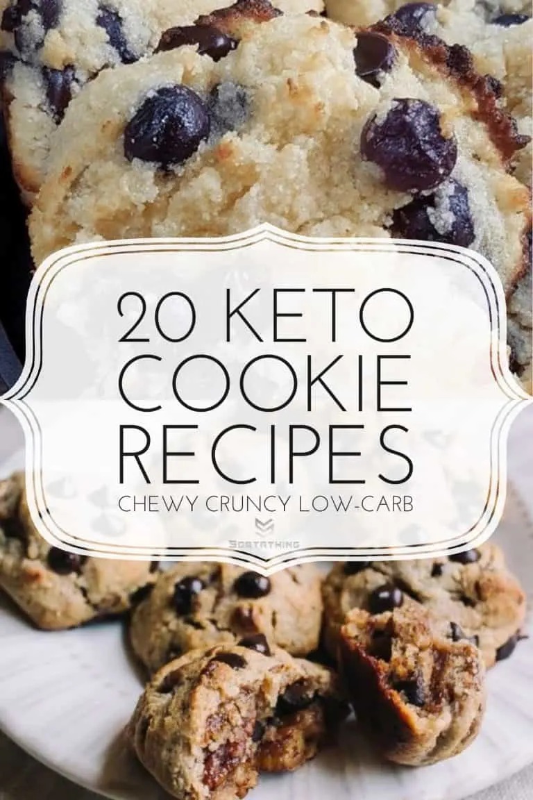Blueberry Chocolate Chip Almond Cookies & Low Carb Candied Pecan Chocolate Chip Cookies