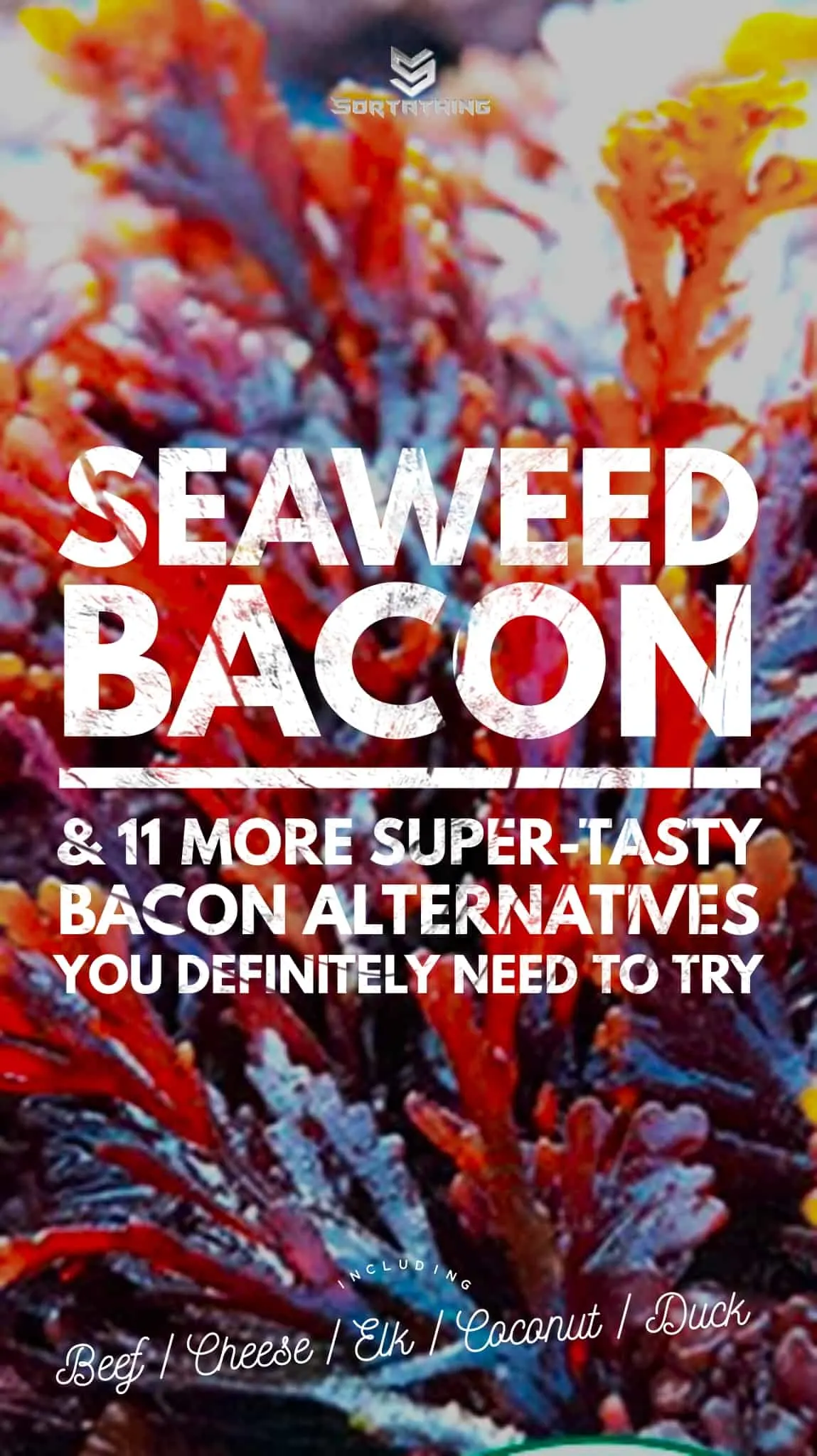 pepper dulse seaweed bacon