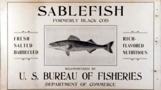 Sablefish formerly Black Cod